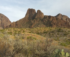 On the Cattail Falls trail